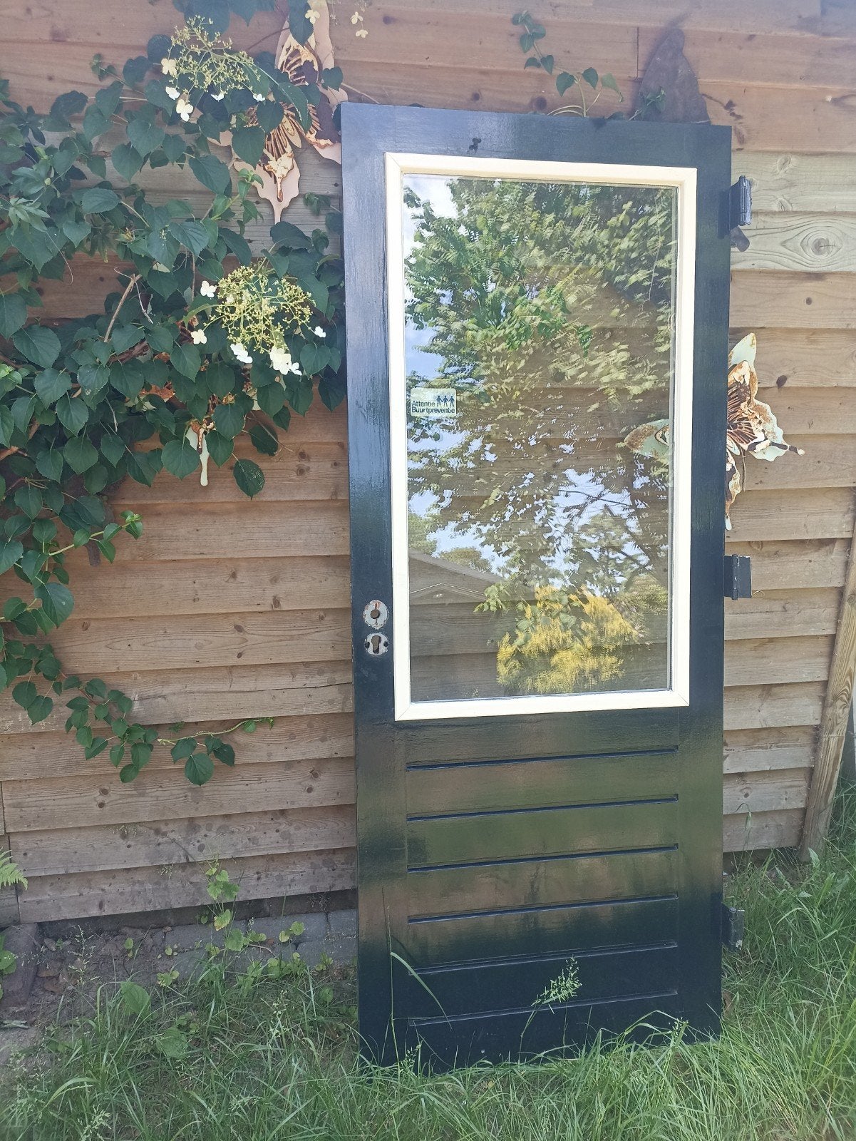 Diverse deuren, Doe-het-zelf en Verbouw, Deuren en Horren, Ophalen, Gebruikt, 200 tot 215 cm, Glas