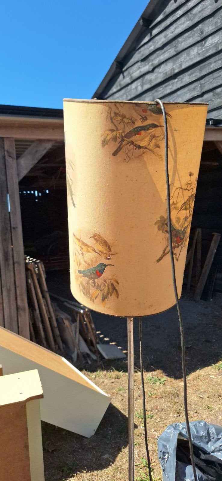 Set van 2 Vintage Lampen met Vogelprint - Werken Nog!, Antiek en Kunst, Antiek | Lampen, Ophalen of Verzenden