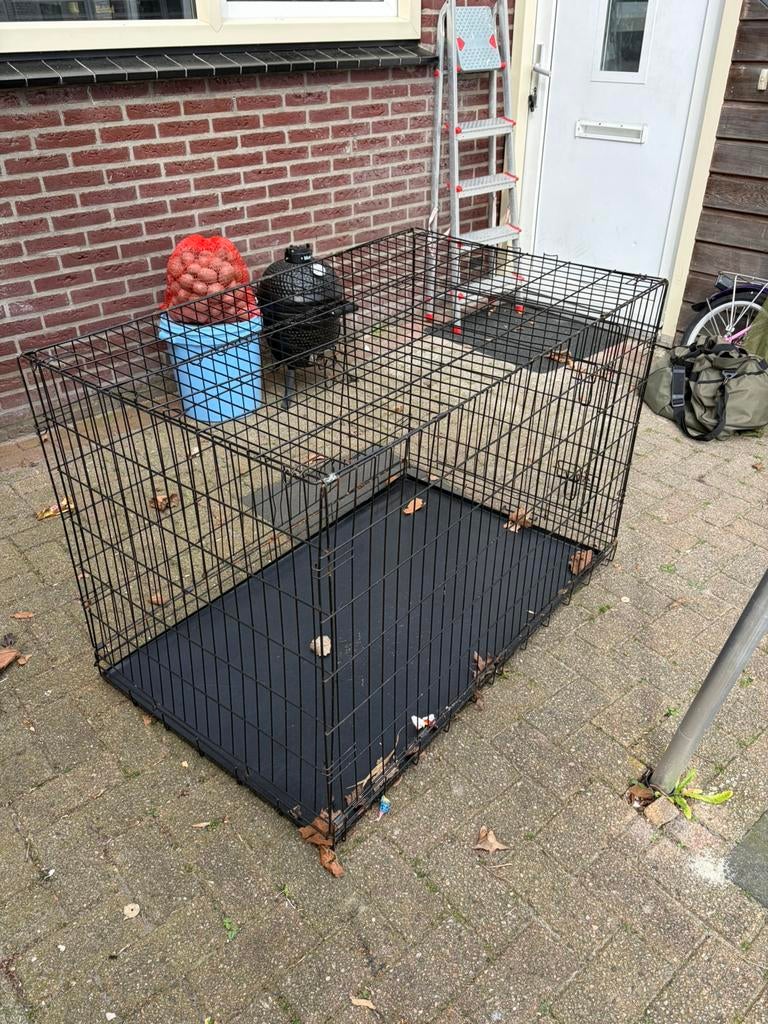 Bench, Ophalen, Hondenkennel, Gebruikt, 65 tot 100 cm