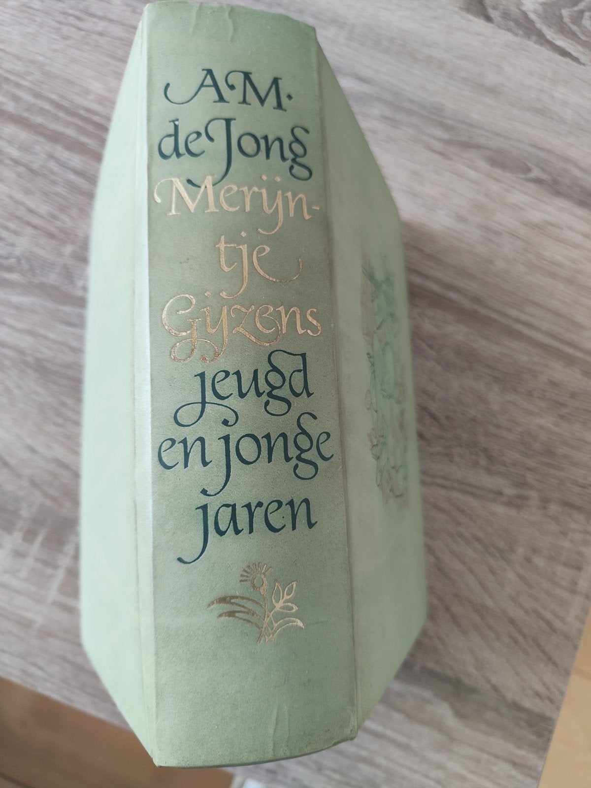 Merijntje Gijzens Jeugd en Jonge Jaren - A.M. de Jong, Ophalen of Verzenden, Gelezen, A.M. de Jong, Nederland