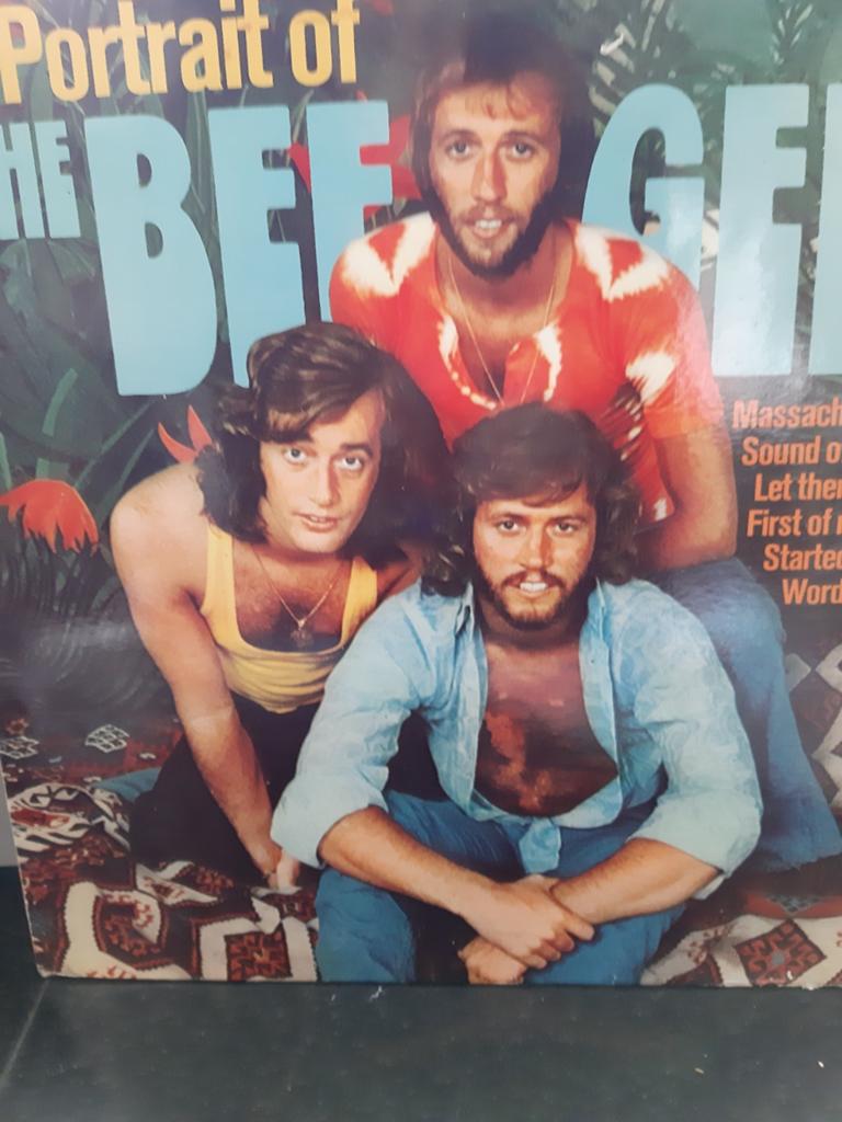 Lp, Portrait of the bee gees, Ophalen of Verzenden, Gebruikt, 12 inch, Pop
