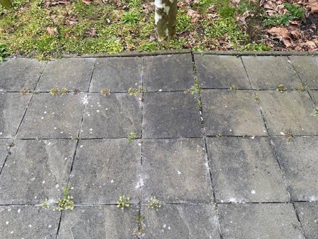 tuintegels, Ophalen, Gebruikt, 10 m² of meer, Beton