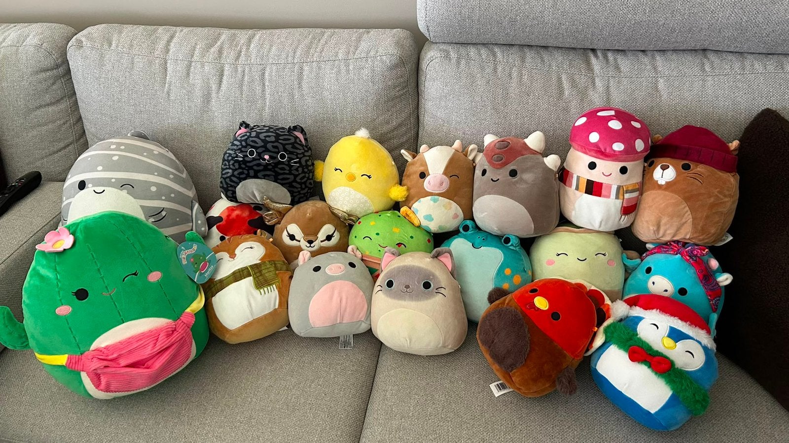 squishmallows - set van 19 stuks, Ophalen, Zo goed als nieuw, Overige typen, Squishmallow