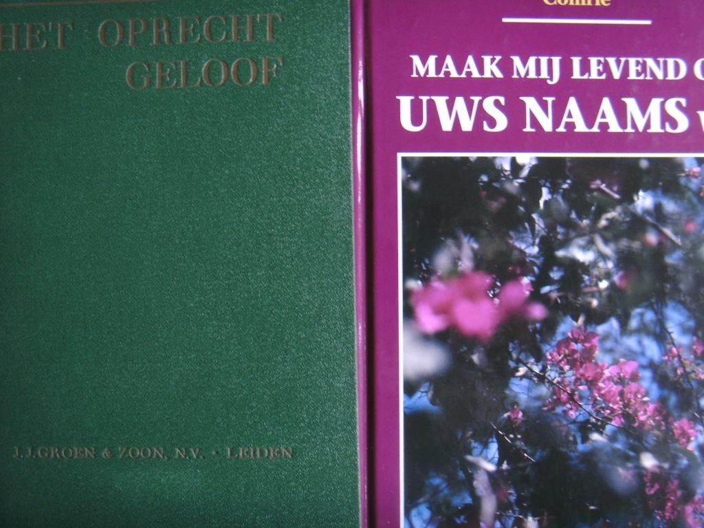 Een drietal boeken van Alexander Comrie., Boeken, Ophalen of Verzenden, Zo goed als nieuw, Alexander Comrie, Christendom | Protestants