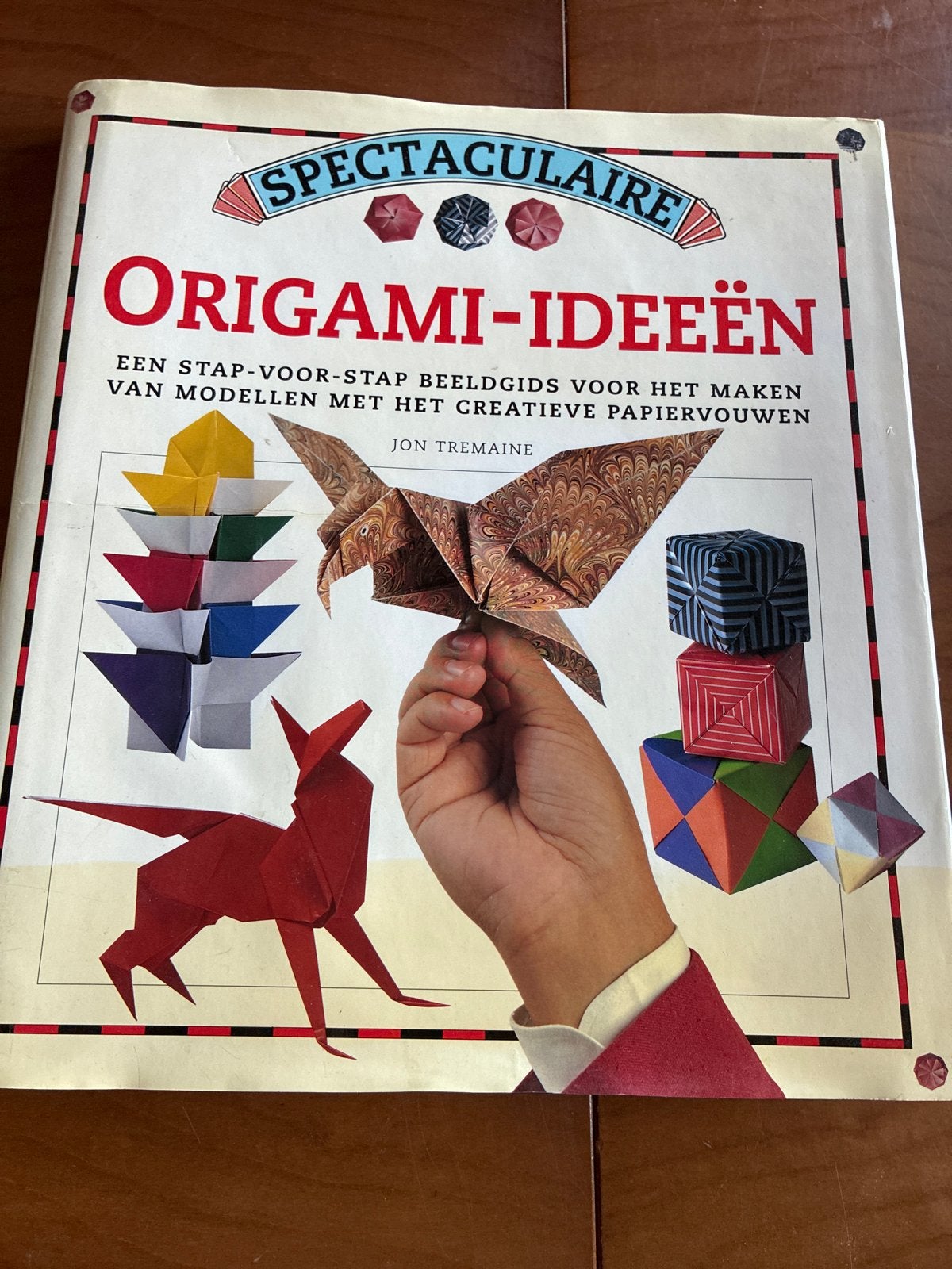 Spectaculaire Origami-ideeën - Knutselboek, Gebruikt, Overige thema's, Meerkleurig, Ophalen of Verzenden
