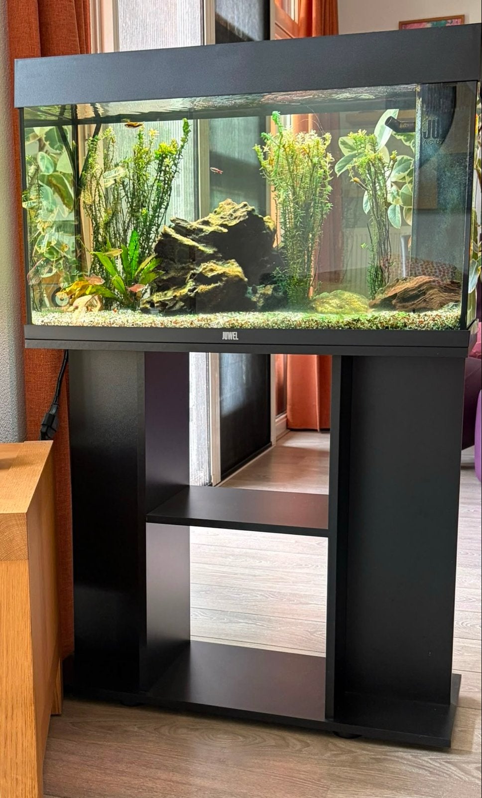 Aquarium compleet Juwel Rio 125 + Meubel, Ophalen, Gebruikt, Gevuld zoetwateraquarium, Juwel