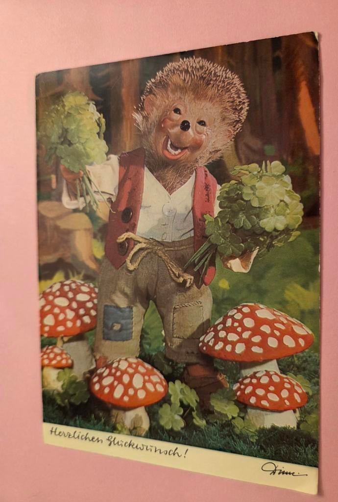Meneer Egel tussen de paddestoelen met klavertjes vier, Verzenden, Gelopen, Kinderen