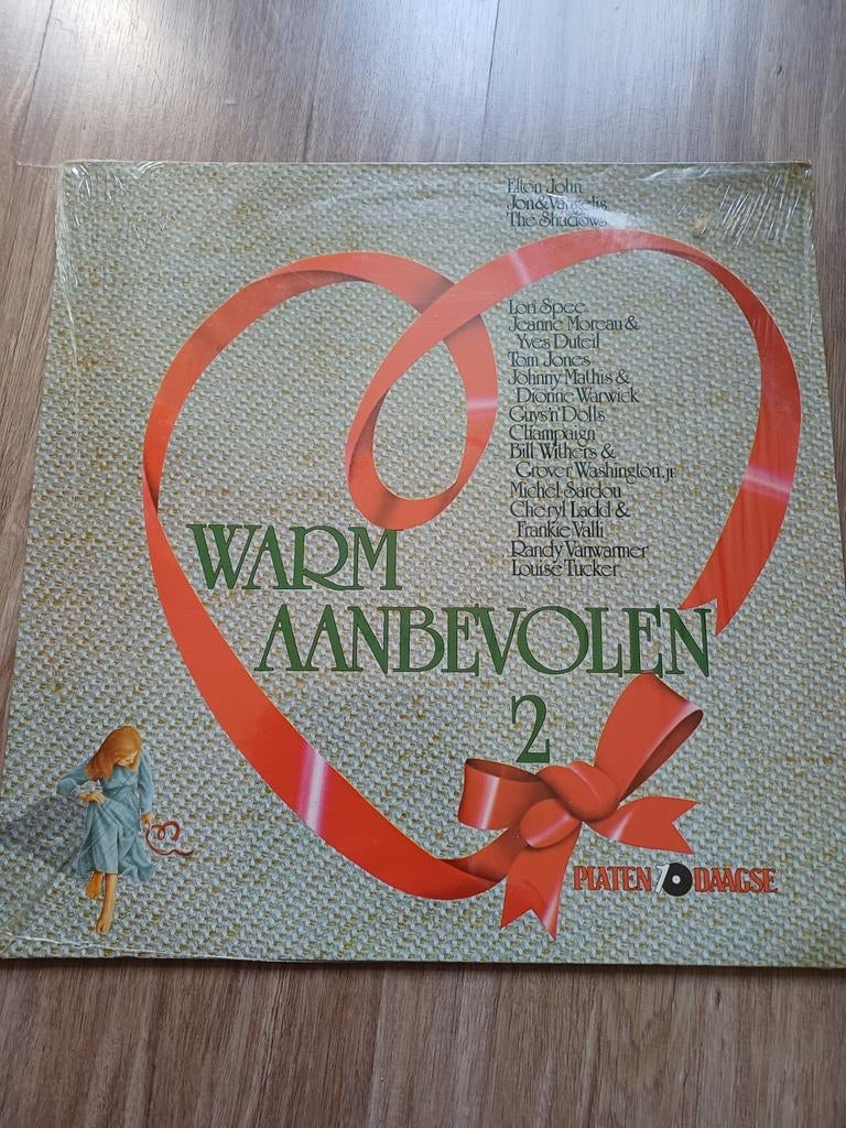 Vinyl LP - Warm Aanbevolen 2, Ophalen, Gebruikt, 12 inch