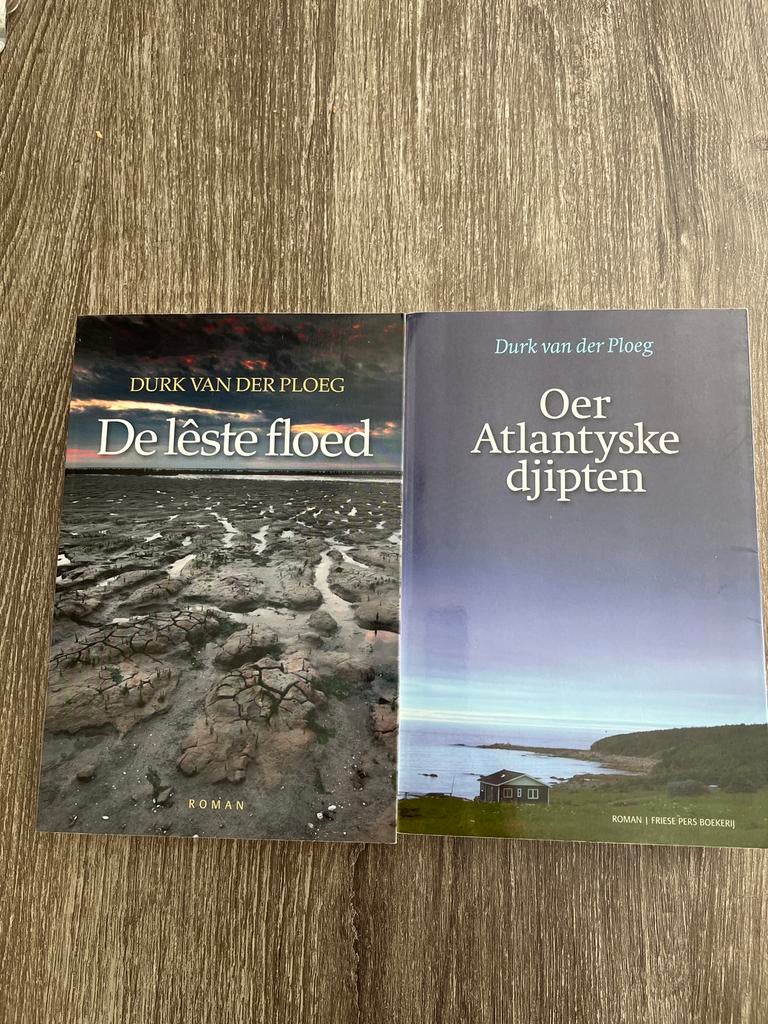 Durk van der Ploeg - Friese romans (2 boeken), Boeken, Ophalen of Verzenden, Gelezen, Nederland