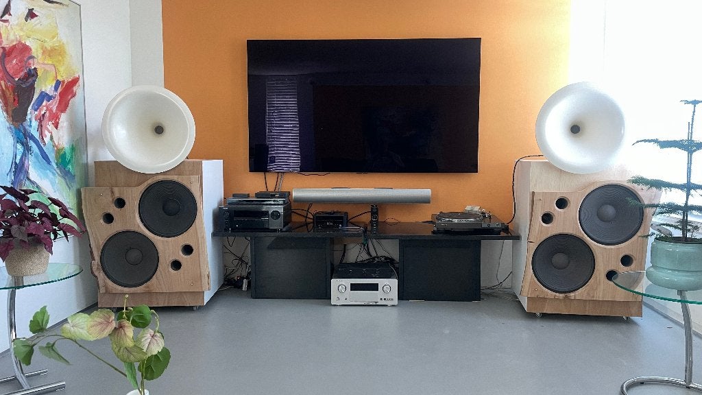 High-End speaker met BMS / JABO hoorn + Stage Accompany bas., Zo goed als nieuw, 120 watt of meer, Front, Rear of Stereo speakers