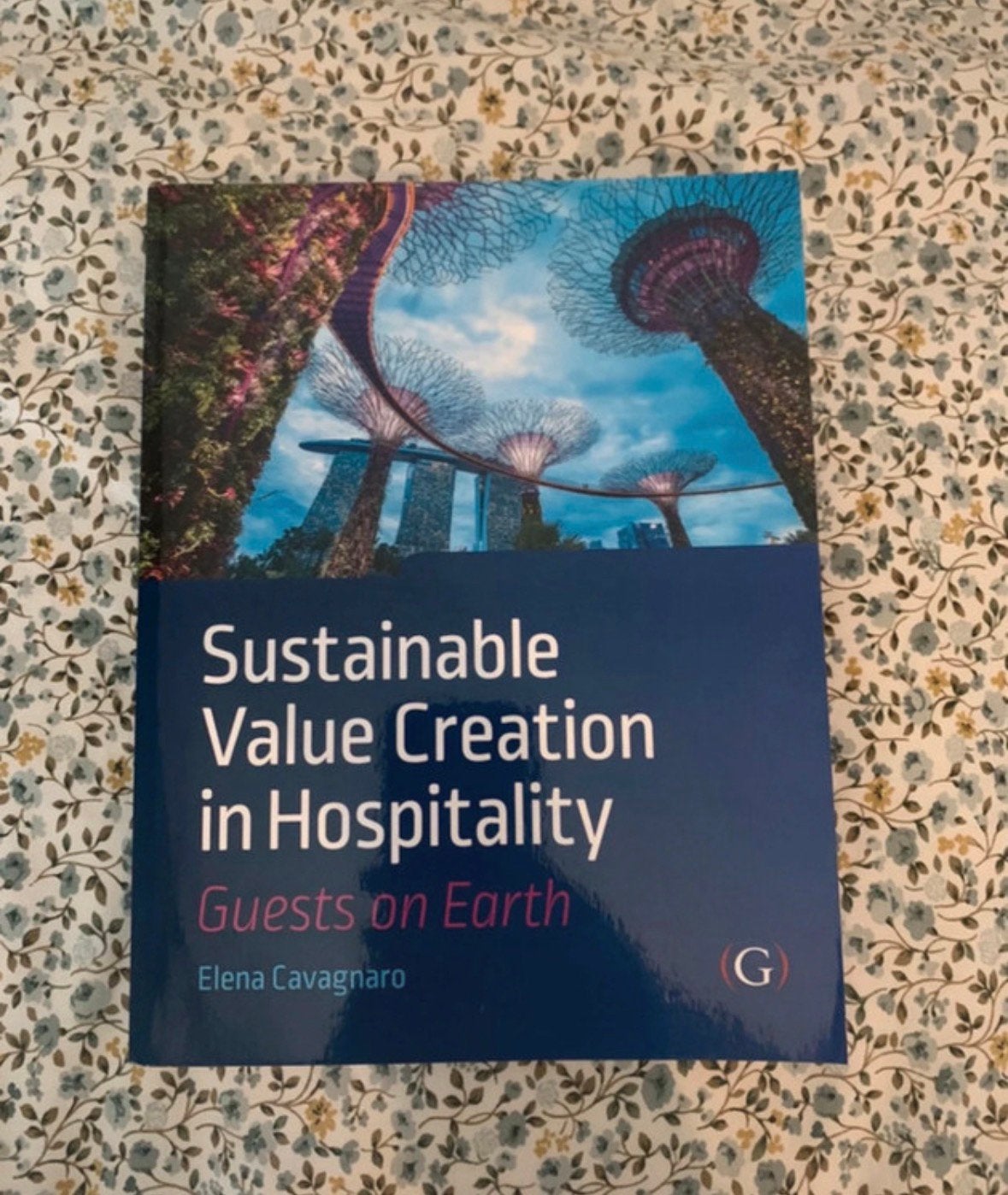 Sustainable Value Creation in Hospitality Guests on Earth, Boeken, Ophalen of Verzenden, Zo goed als nieuw, Management