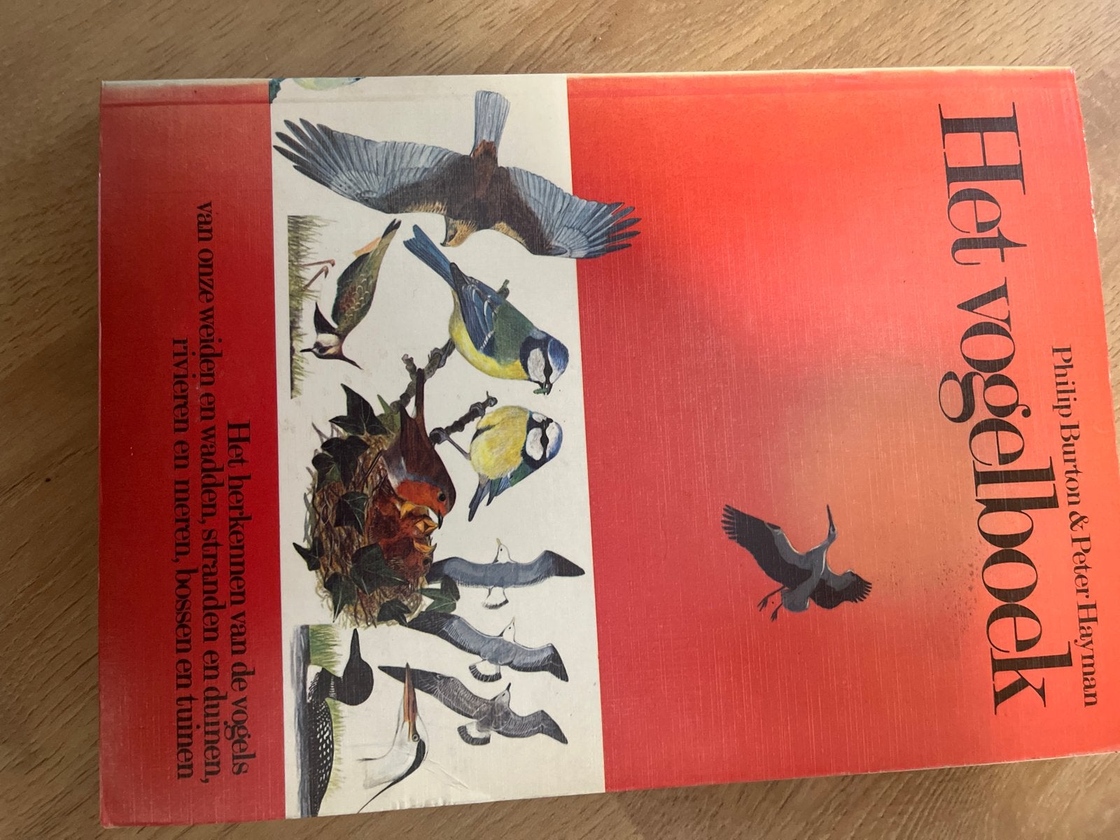 Het Vogelboek - Philip Burton & Peter Hayman, Boeken, Ophalen of Verzenden, Gelezen, Vogels