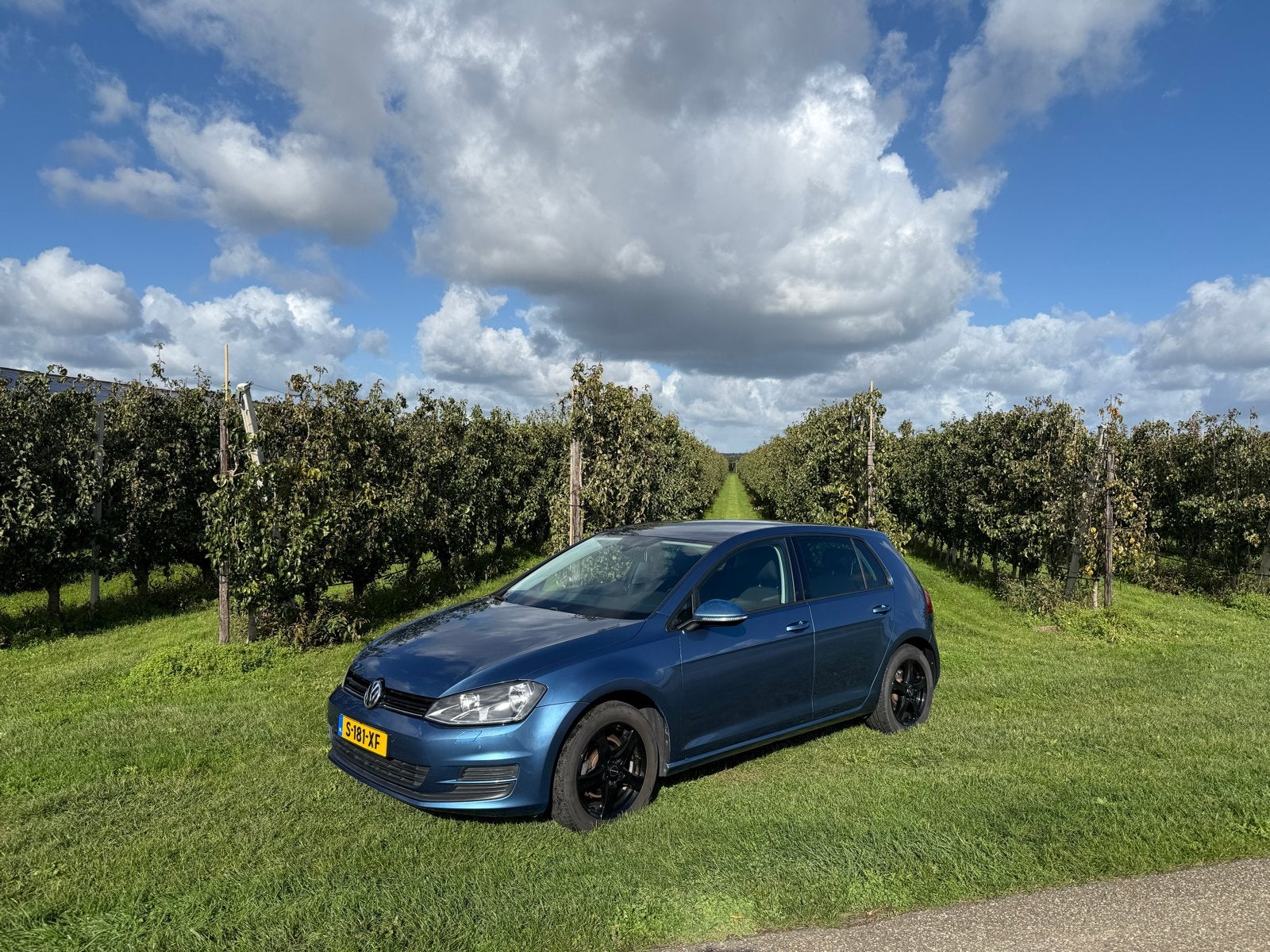 Volkswagen Golf 7 1.2 TSI 77KW 5D DSG 2014 Blauw, Auto's, Euro 5, Stof, 4 cilinders, Blauw