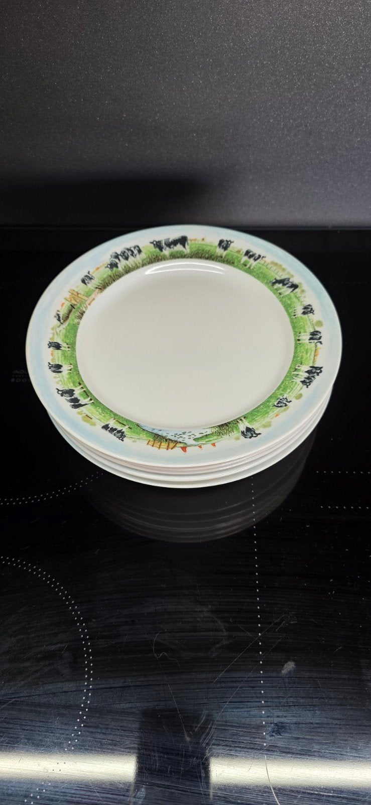 6 wiebe van der zee ontbijt bordjes, Ophalen, Porselein, Landelijk/Boerenbont, Bord(en)