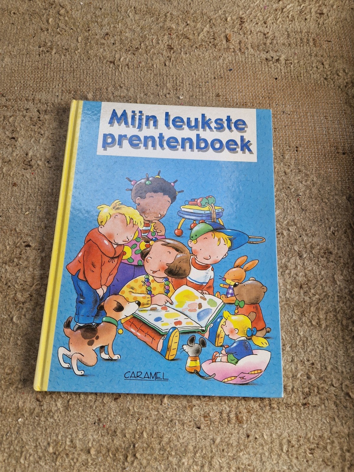 Eerste prentenboek, Ophalen of Verzenden, Zo goed als nieuw