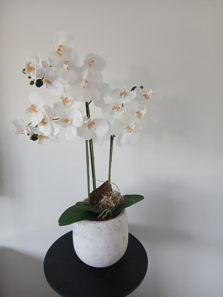 Kunstplant Orchidee in pot - Wit, Ophalen, Binnen, Onderhoudsvrij, Kunstplant