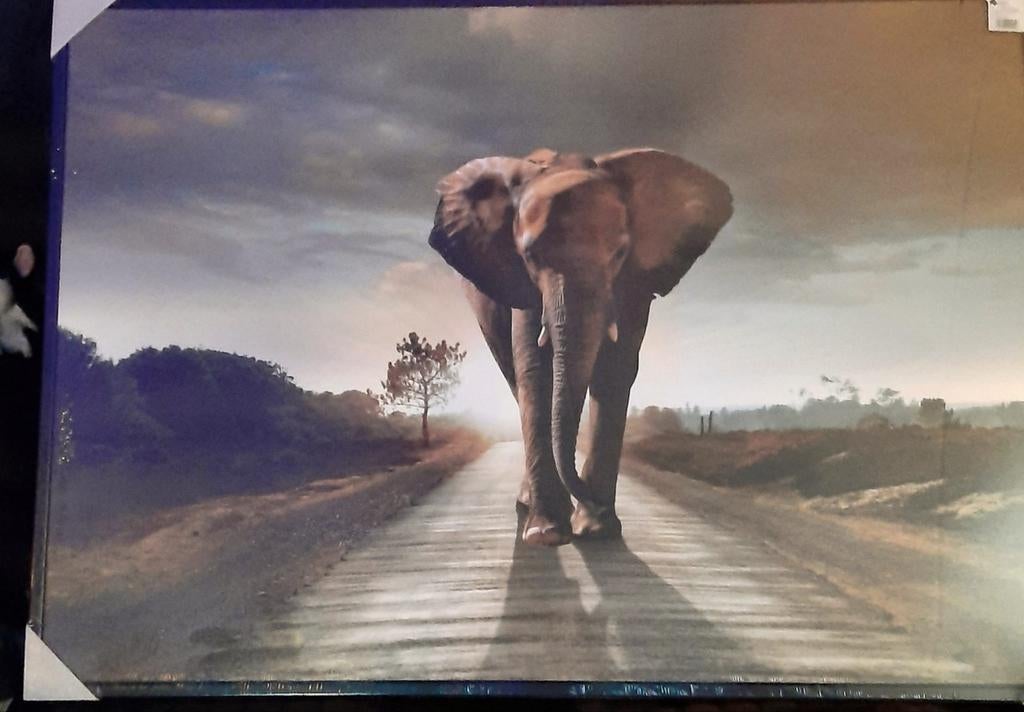 Schilderij olifant, 100x140cm(hxb), Ophalen