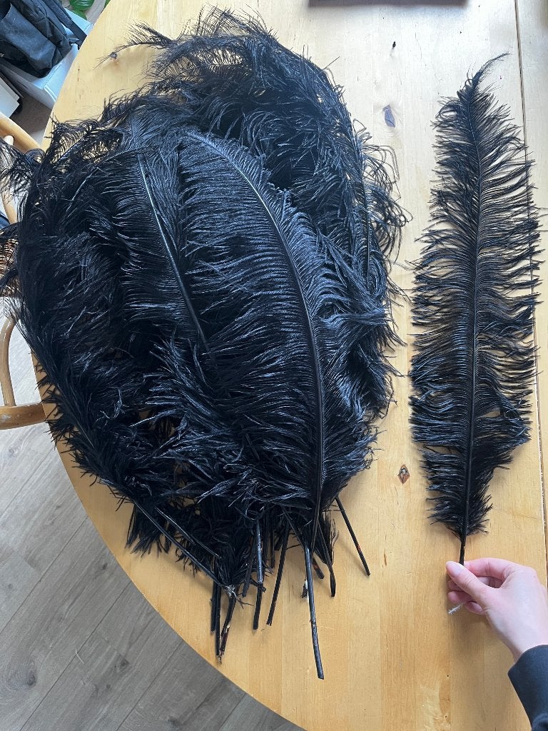 Zwarte struisvogelveren 30 stuks 60-75 cm, Zwart, Dieren, Ophalen of Verzenden, Zo goed als nieuw