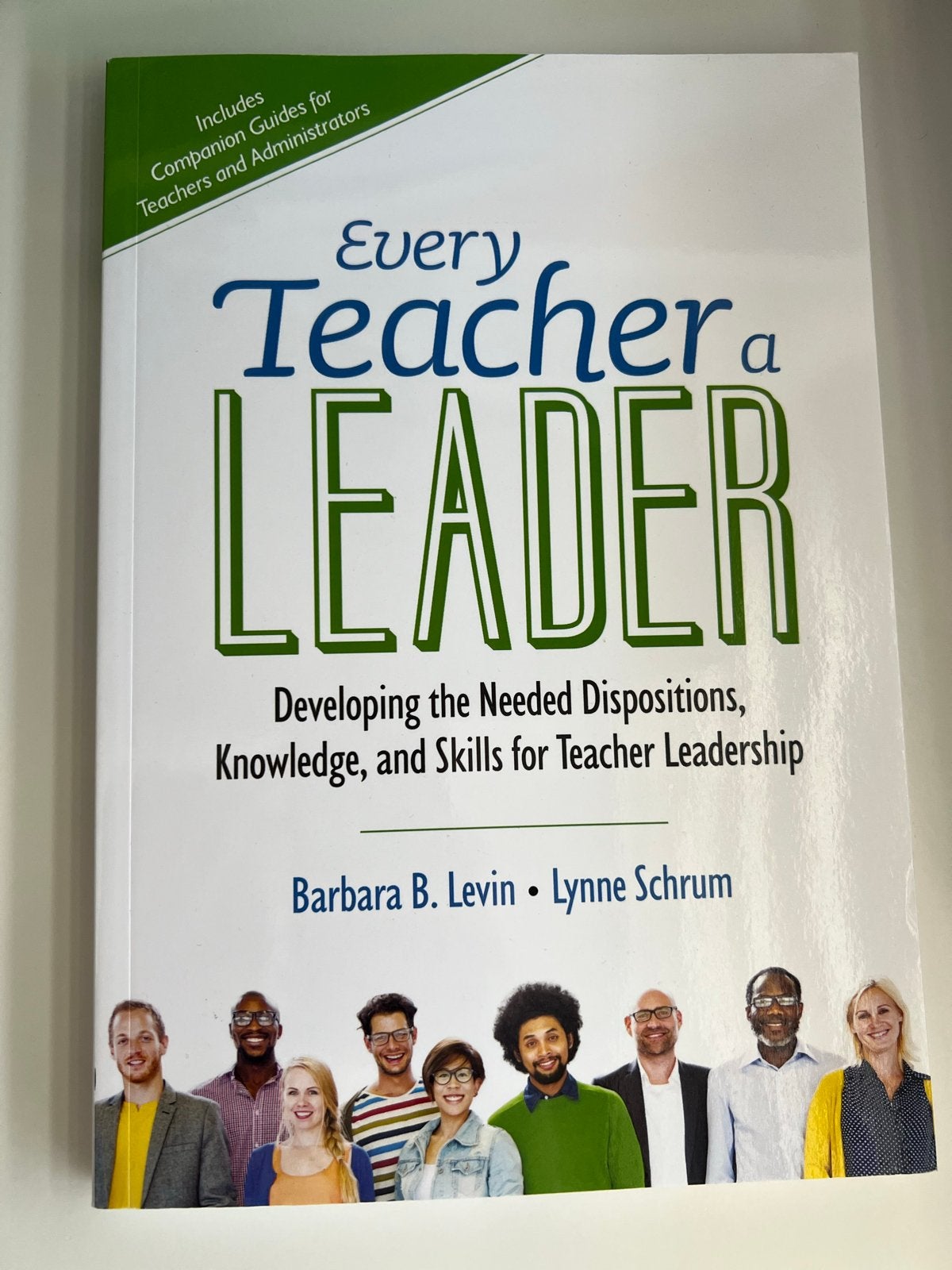 Every Teacher a Leader - Barbara B. Levin & Lynne Schrum, Boeken, Ophalen of Verzenden, Gamma, Nieuw, HBO