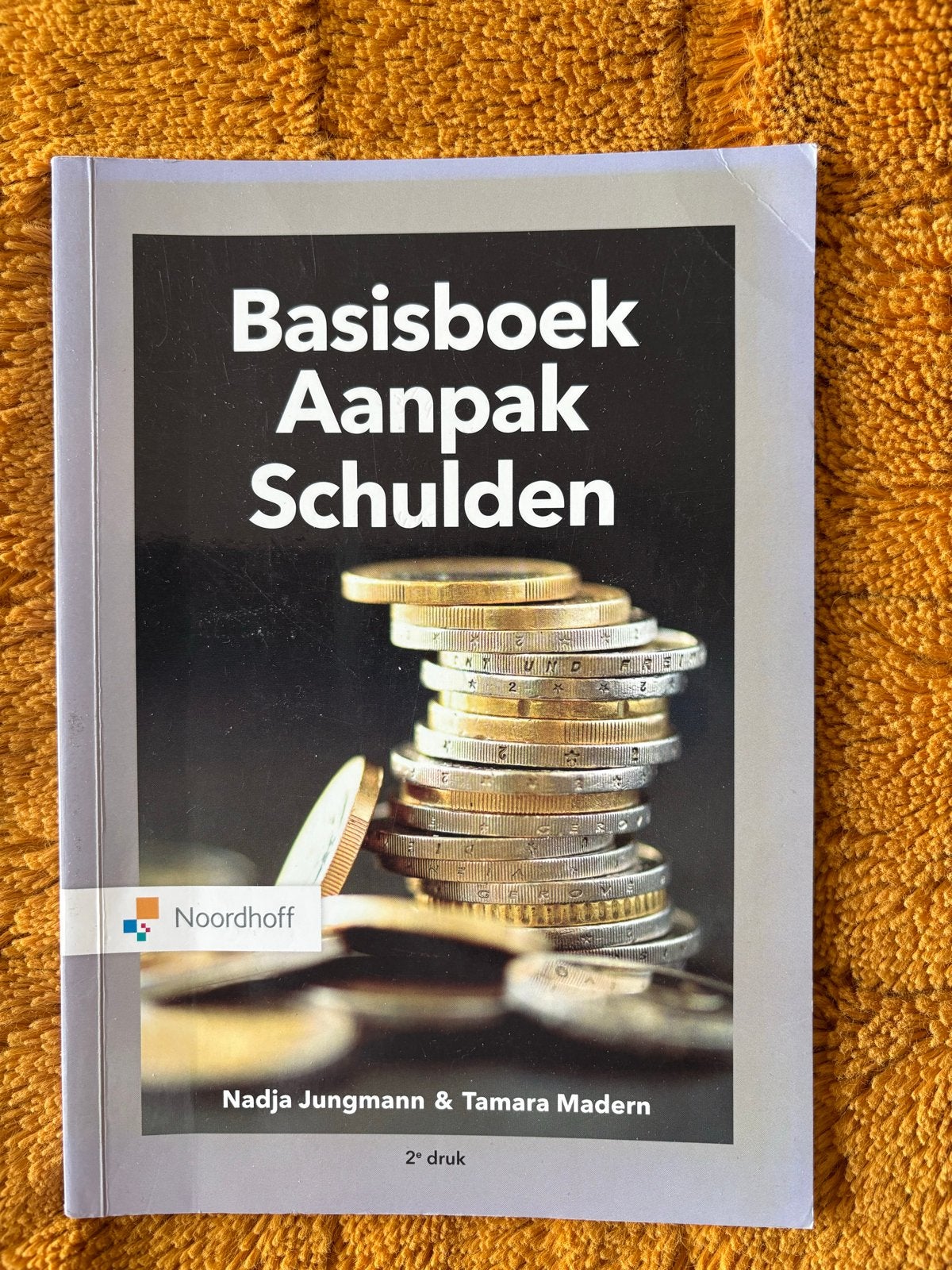 Basisboek Aanpak Schulden - Nadja Jungmann & Tamara Madern, Ophalen of Verzenden, Gamma, Gelezen, HBO