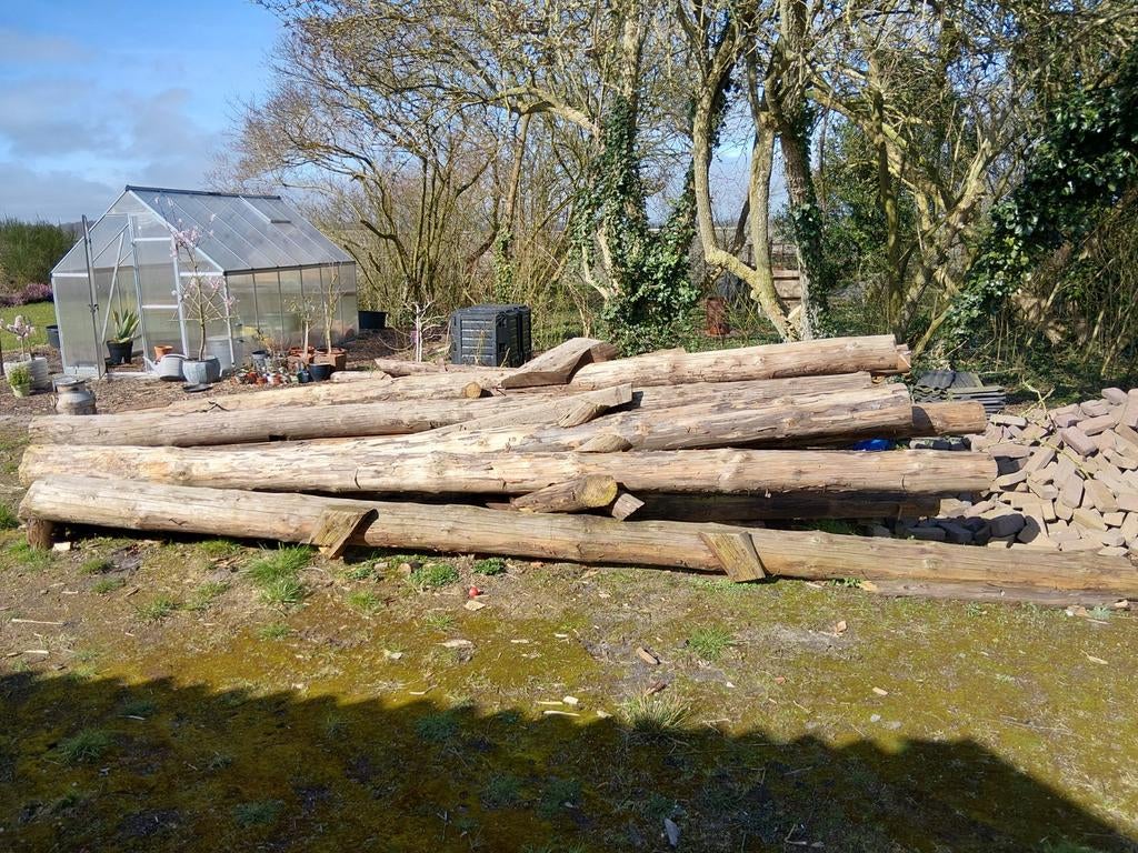 Gebint palen uit boerderij, Doe-het-zelf en Verbouw, Hout en Planken, Ophalen of Verzenden, Balk, Overige houtsoorten, 50 mm of meer