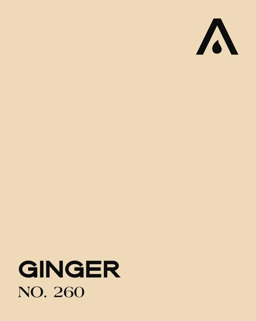 LAB Paint Ginger No. 260 - 2x 10L, Ophalen, Nieuw, Overige typen