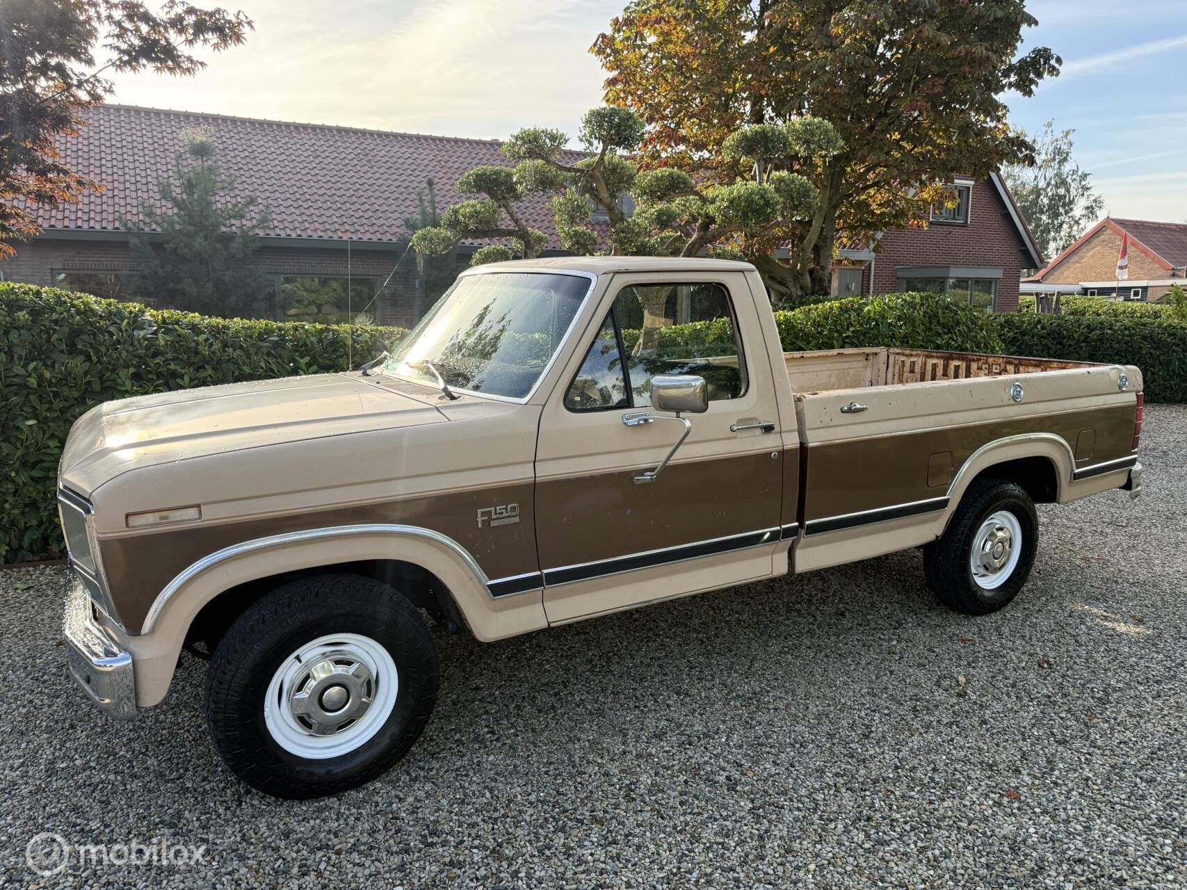 Ford F-150 5.0 V8 EFI Automaat 1986, foto 6