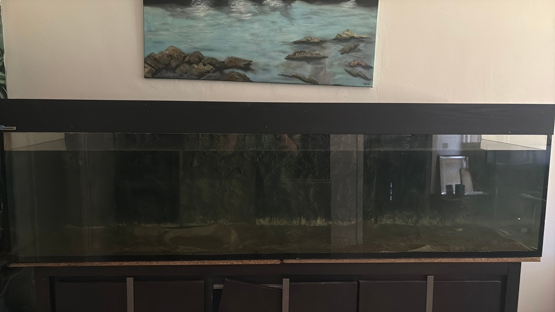 Aquarium/terrarium 200x50x50, Dieren en Toebehoren, Ophalen, Gebruikt