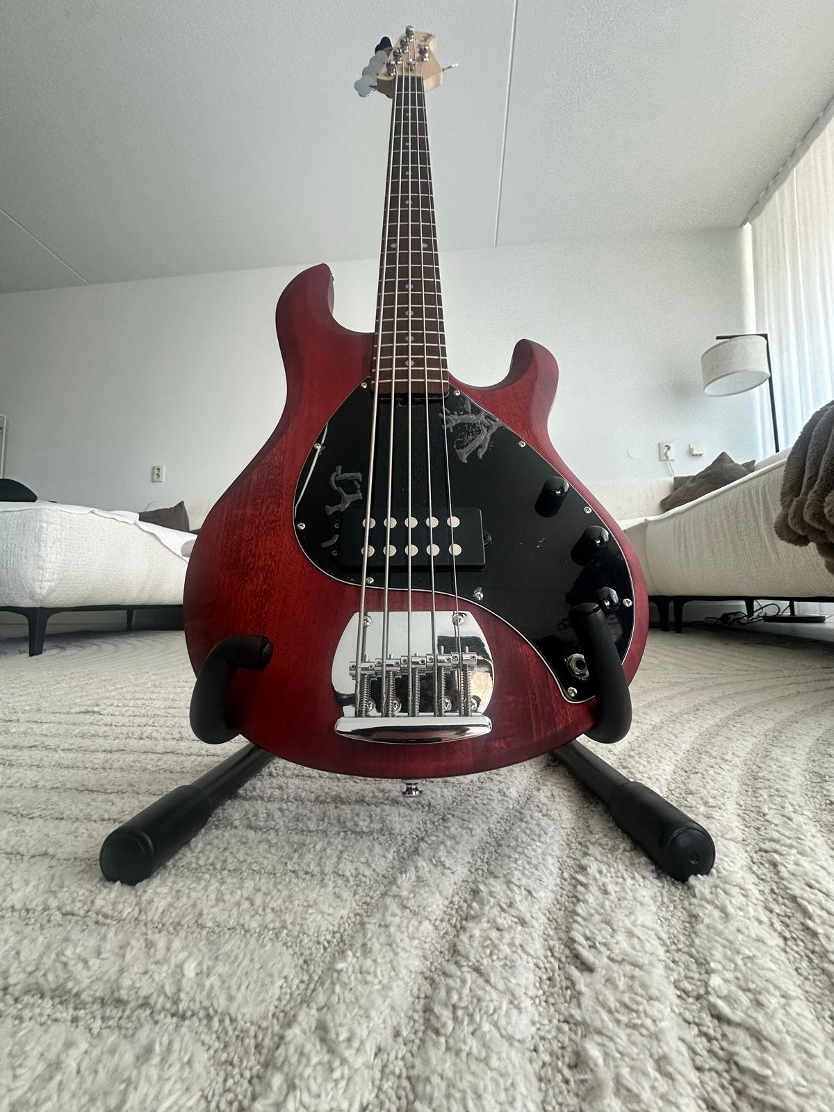 Sterling by Music Man StingRay 5 basgitaar, Ophalen, Nieuw, Elektrisch, 5-snarig