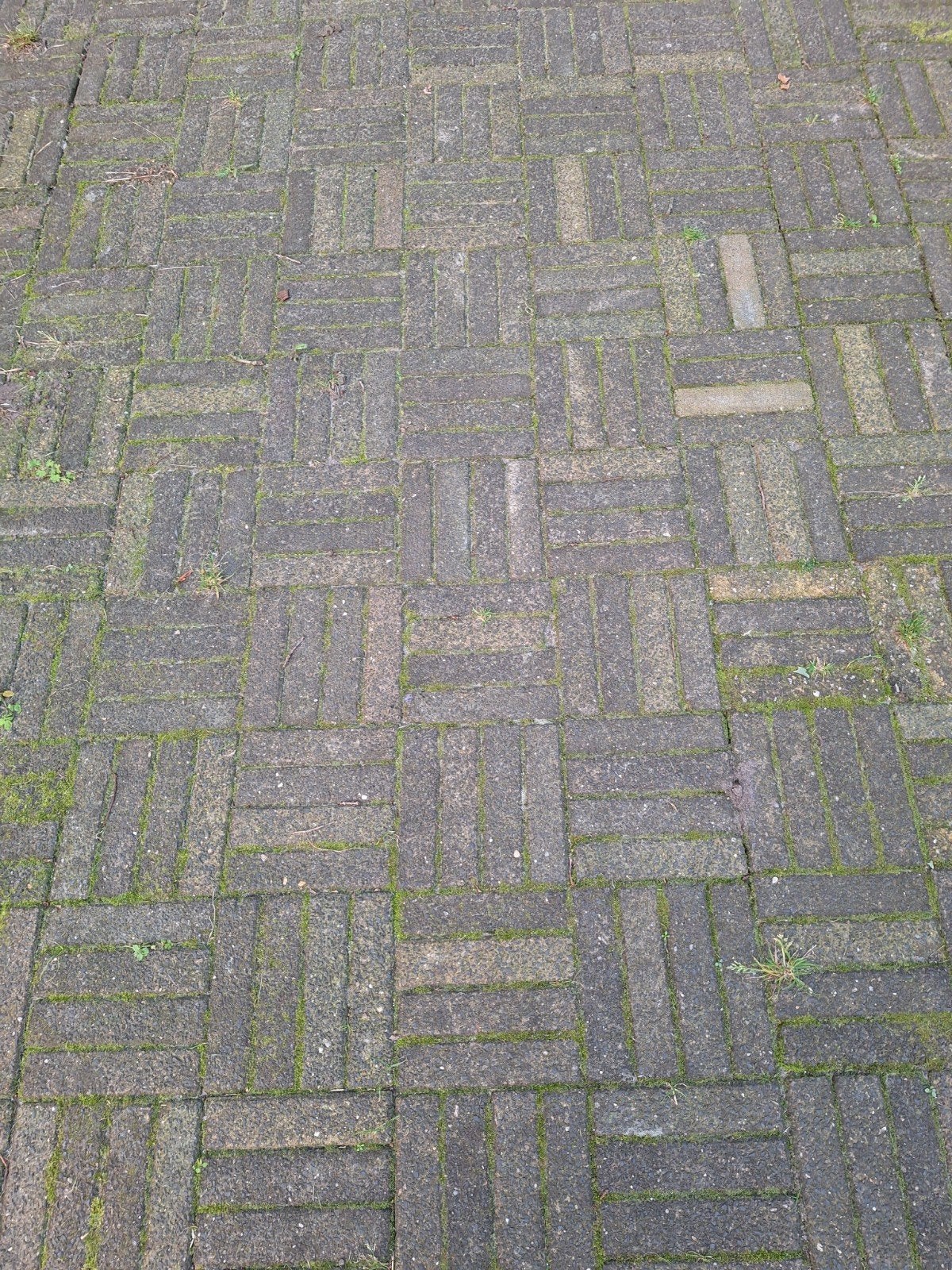 Gratis Betonwaaltjes 5x20 cm - ca. 10 m², Tuin en Terras, Ophalen, Gebruikt, Klinkers, 10 m² of meer