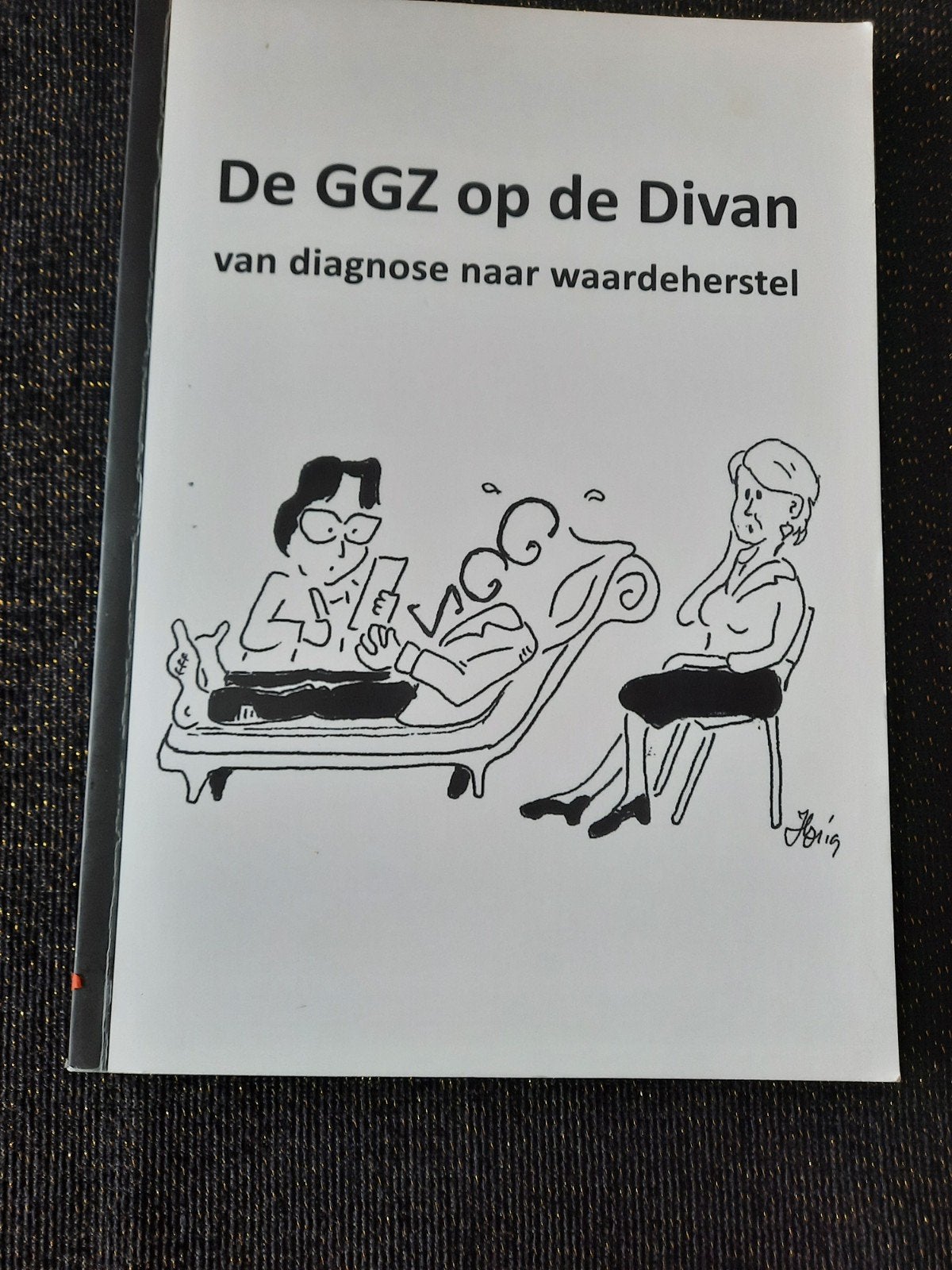 De GGZ op de Divan - van diagnose naar waardeherstel, Ophalen of Verzenden, Nieuw, Klinische psychologie, Arlette van Amerongen, Gloria Gribling