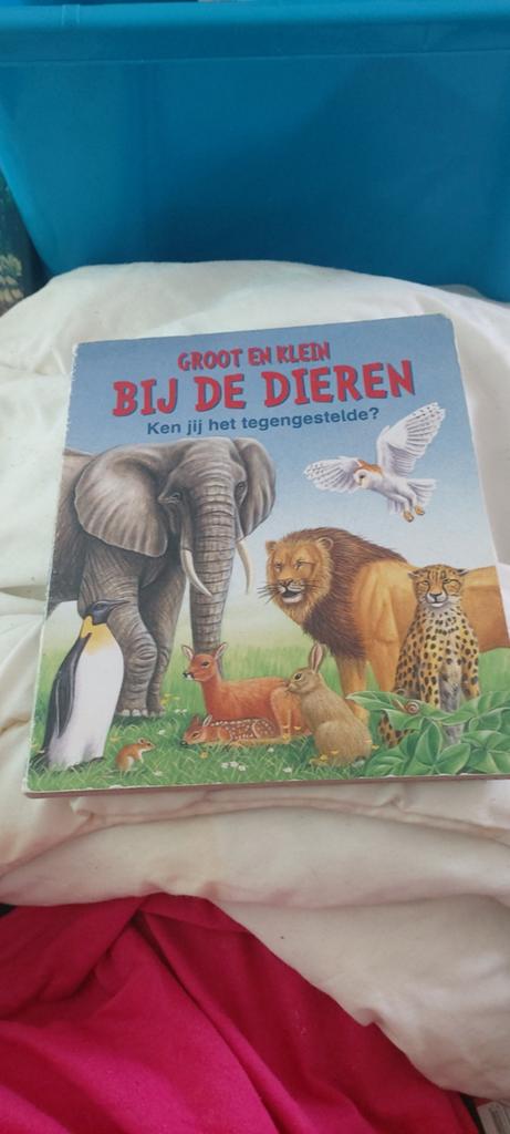 Boek bieten, Ophalen of Verzenden