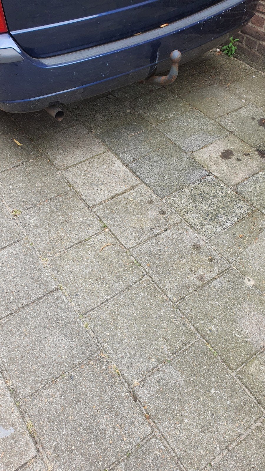 Ford focus, Auto's, Voorwielaandrijving, 450 kg, 4 cilinders, 68 pk
