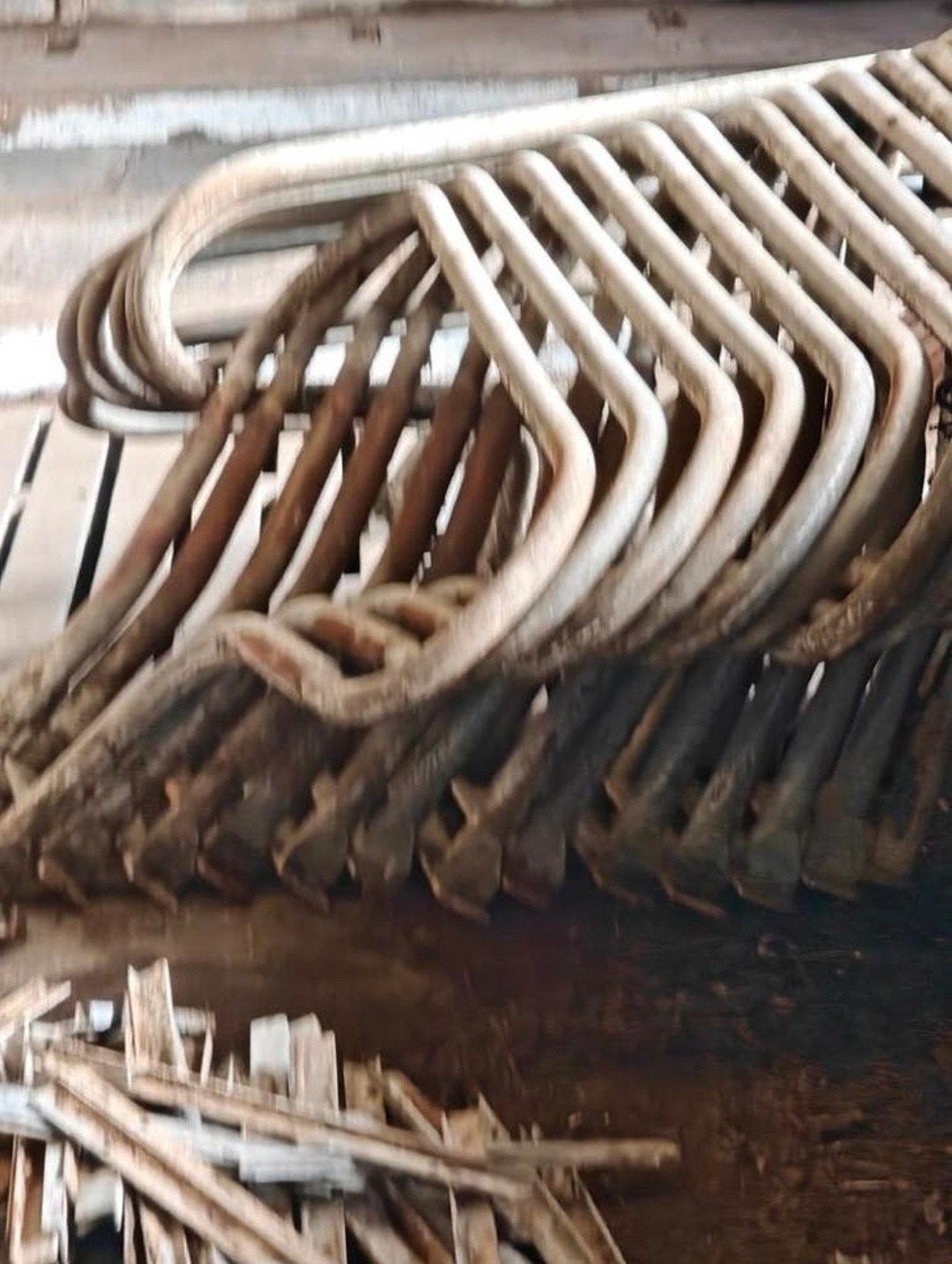 52 paddenstoelboxen!, Dieren en Toebehoren, Ophalen