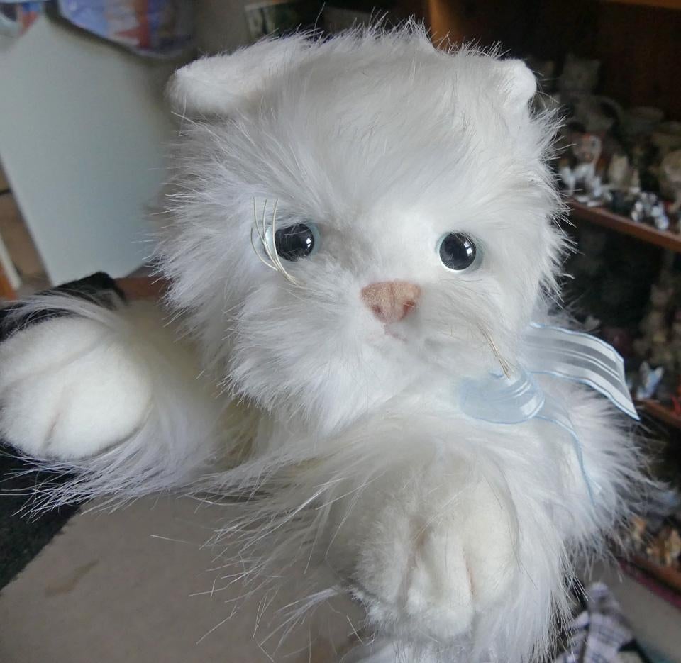 Ty Classic Sugar poes witte Pers langhaar kat pluche knuffel, Ophalen of Verzenden, Wit, Ty, Met label
