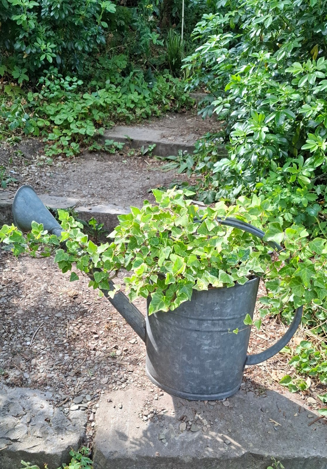 Oude grote zinken gietkan met plant, als tuindecoratie, Tuin en Terras, Ophalen, Gebruikt