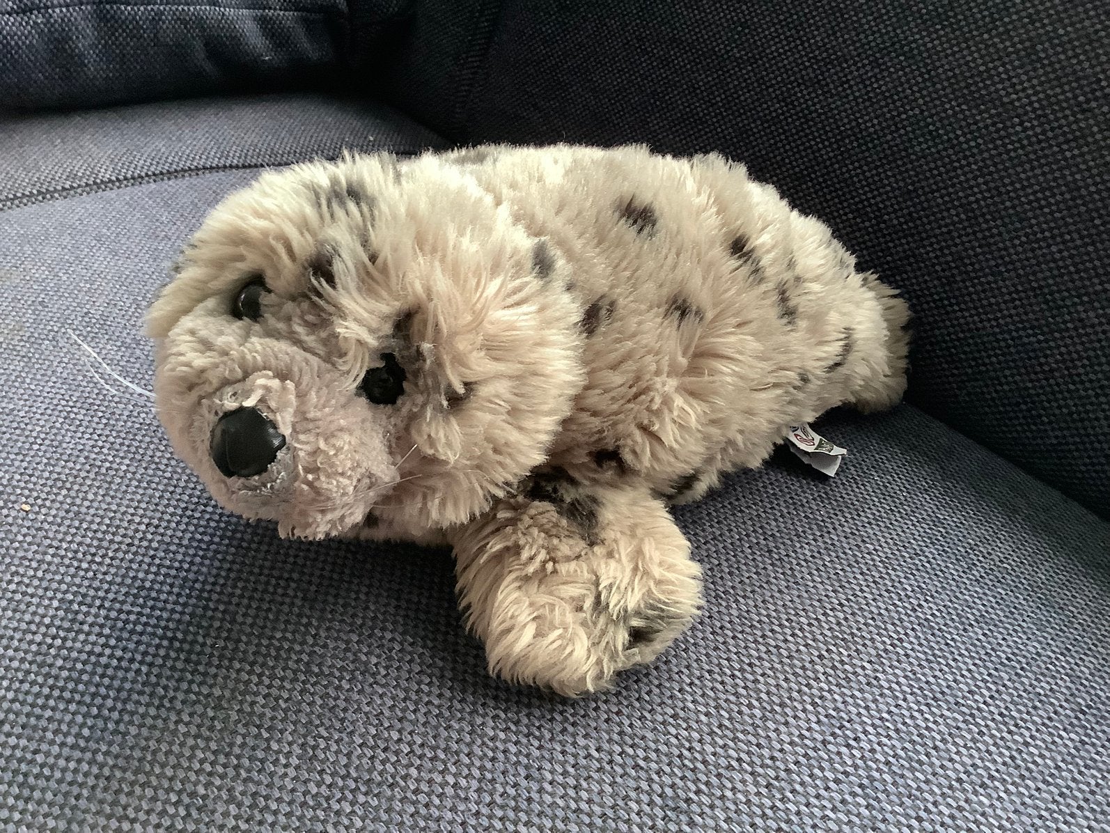 Ecomare Texel zeehond pluche knuffel 40cm nature planet Plan, Gebruikt, Overige merken, Overige typen, Grijs