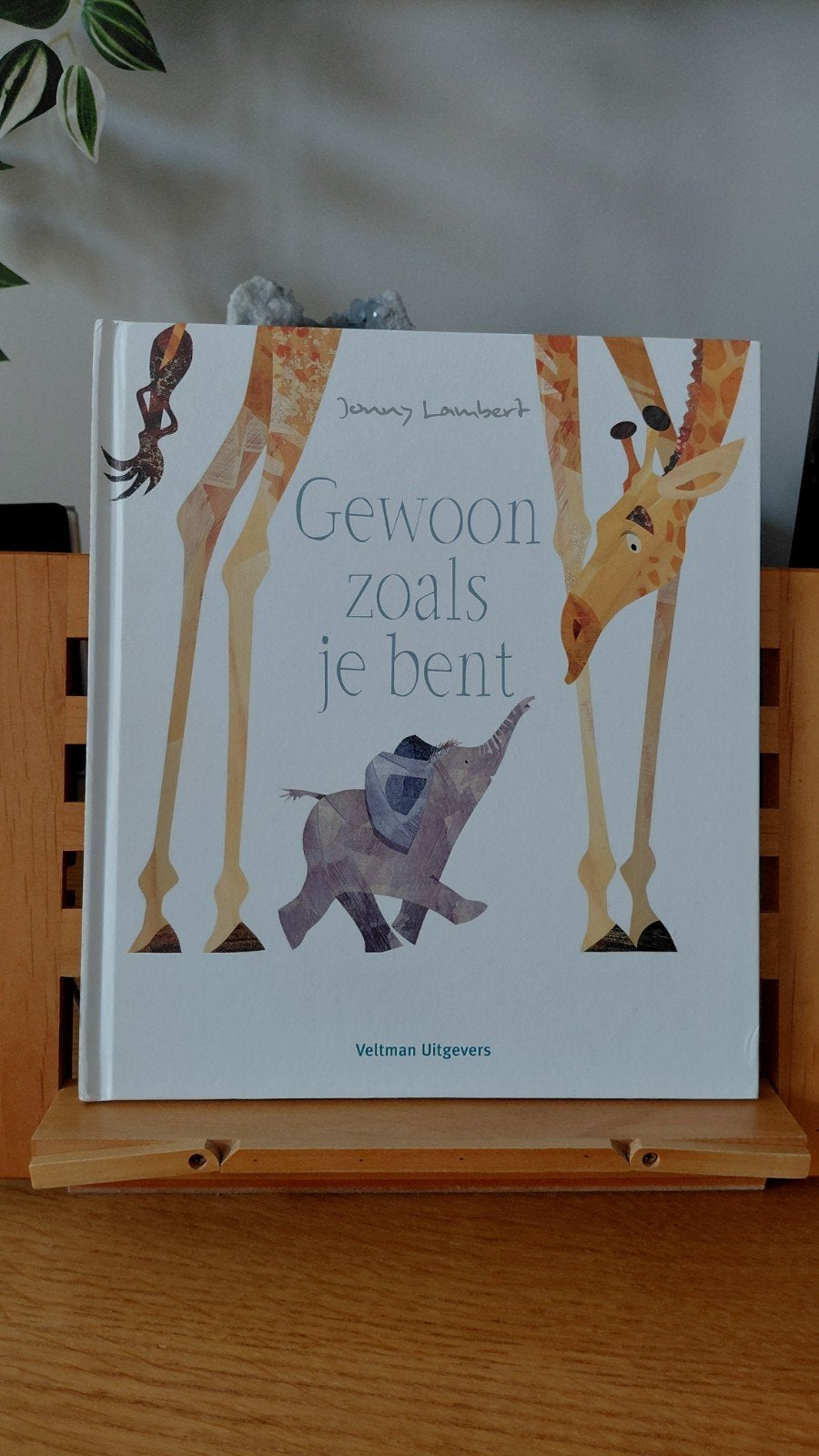 Gewoon zoals je bent - Jonny Lambert (Kinderboek), Boeken, Ophalen of Verzenden, Gelezen, Jonny Lambert, 2 tot 3 jaar
