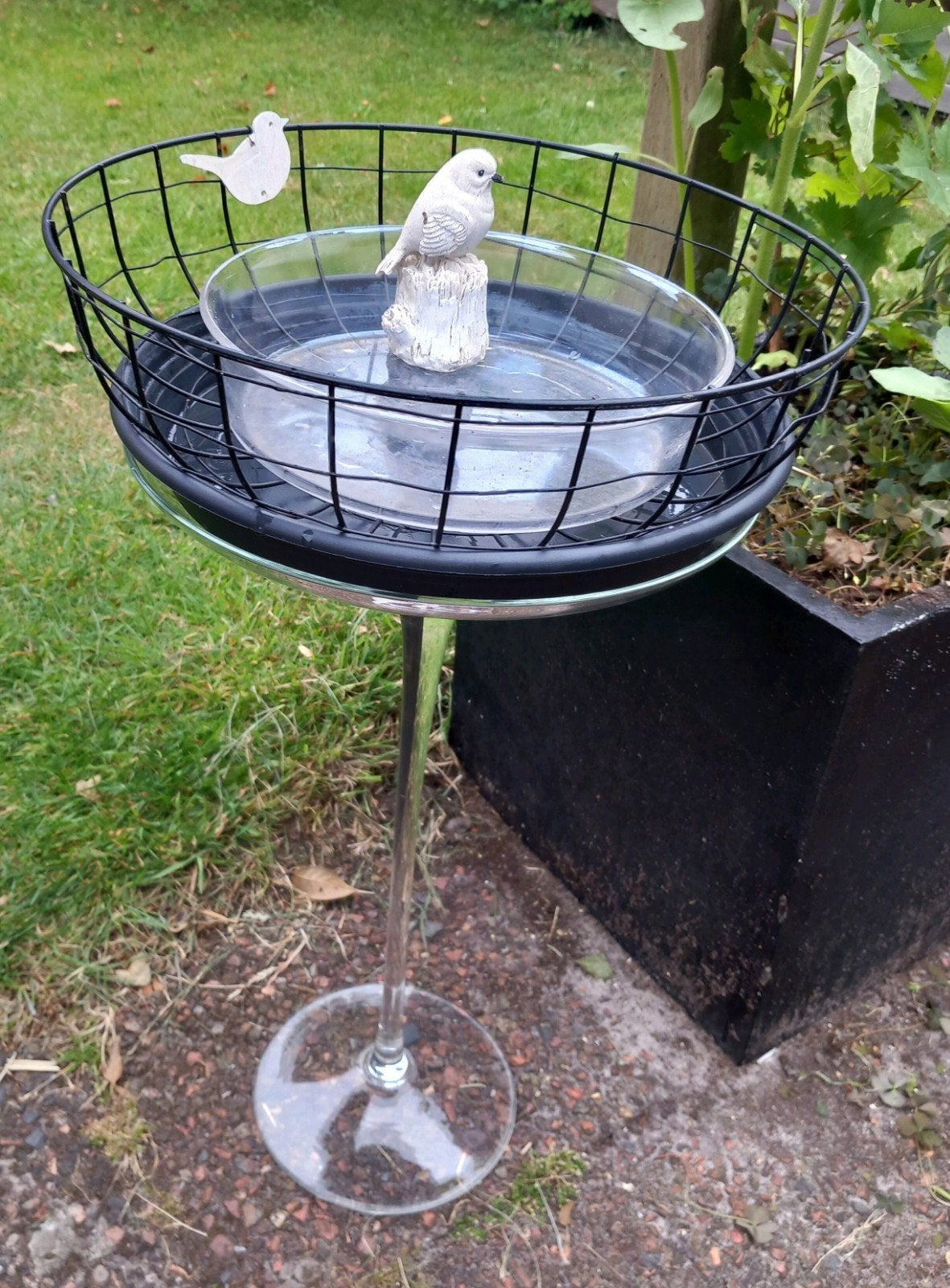 Vogelbad op Voet 🐦‍⬛, Ophalen