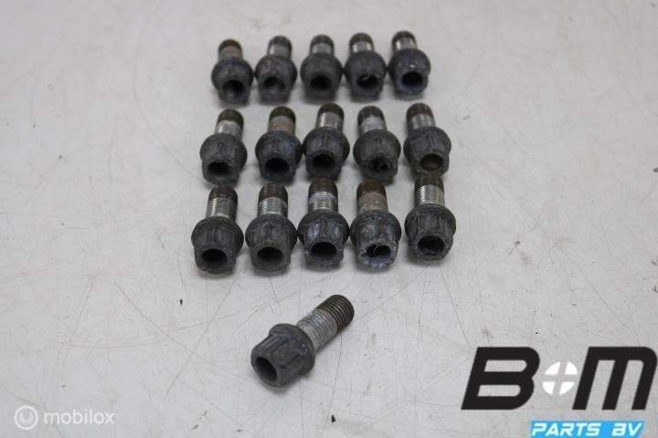 Set van 16 wielbouten VW Tiguan 5N, Gebruikt, Band(en)