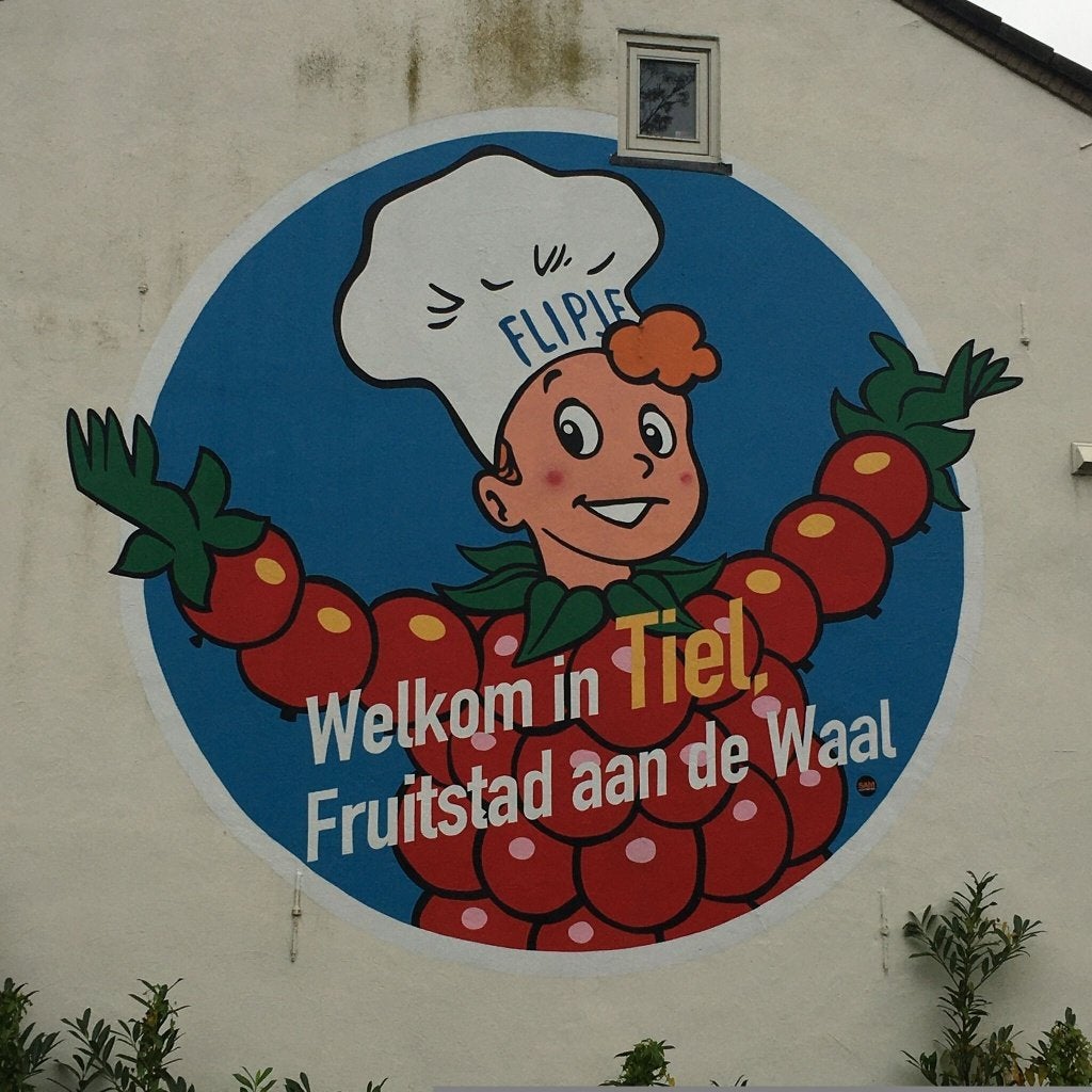 woonhuis/ winkelpand / appartementen Tiel centrum, Huizen en Kamers, Huizen te koop, 10 kamers, Gelderland, Tot 200 m²