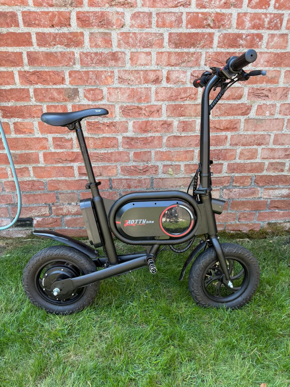 Telestar Trotty Bike – Elektrische Vouwfiets, Fietsen en Brommers, Fietsen | Vouwfietsen, Ophalen, Minder dan 14 inch, Zo goed als nieuw