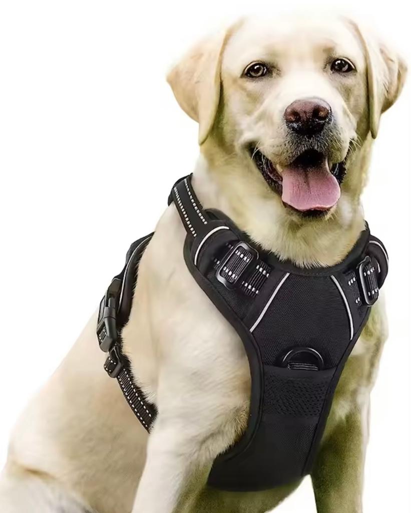 Dog harness NEW, Ophalen of Verzenden, Nieuw