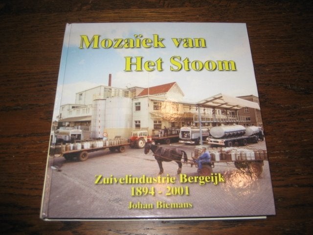 Johan biemans/mozaiek van het stoom zuivelindustrie bergeijk, 20e eeuw of later, Ophalen of Verzenden, Zo goed als nieuw, Johan biemans
