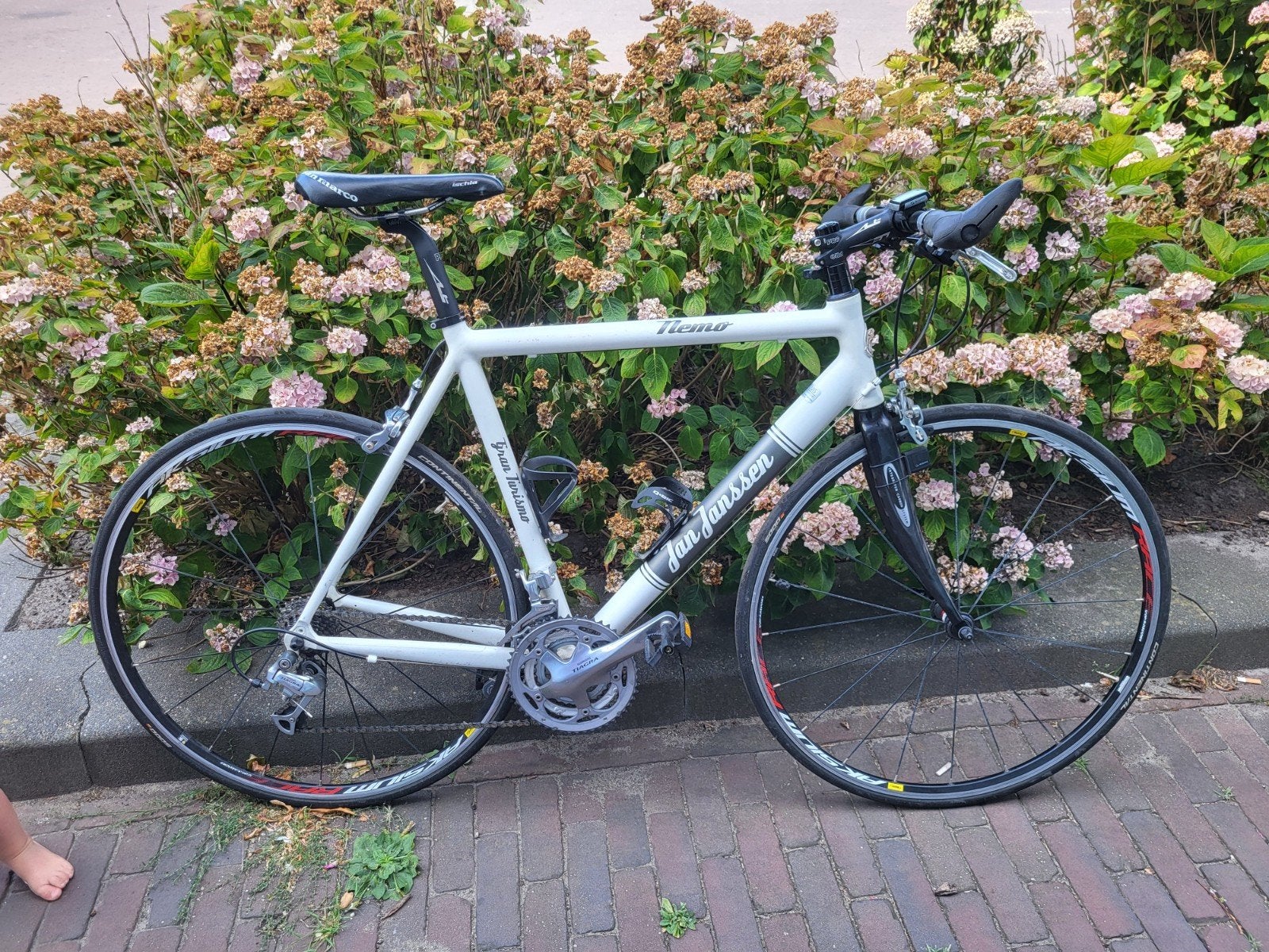 Jan Janssen Nemo racefiets recht stuur maat M, Gebruikt, Jan Janssen, Aluminium, Meer dan 20 versnellingen