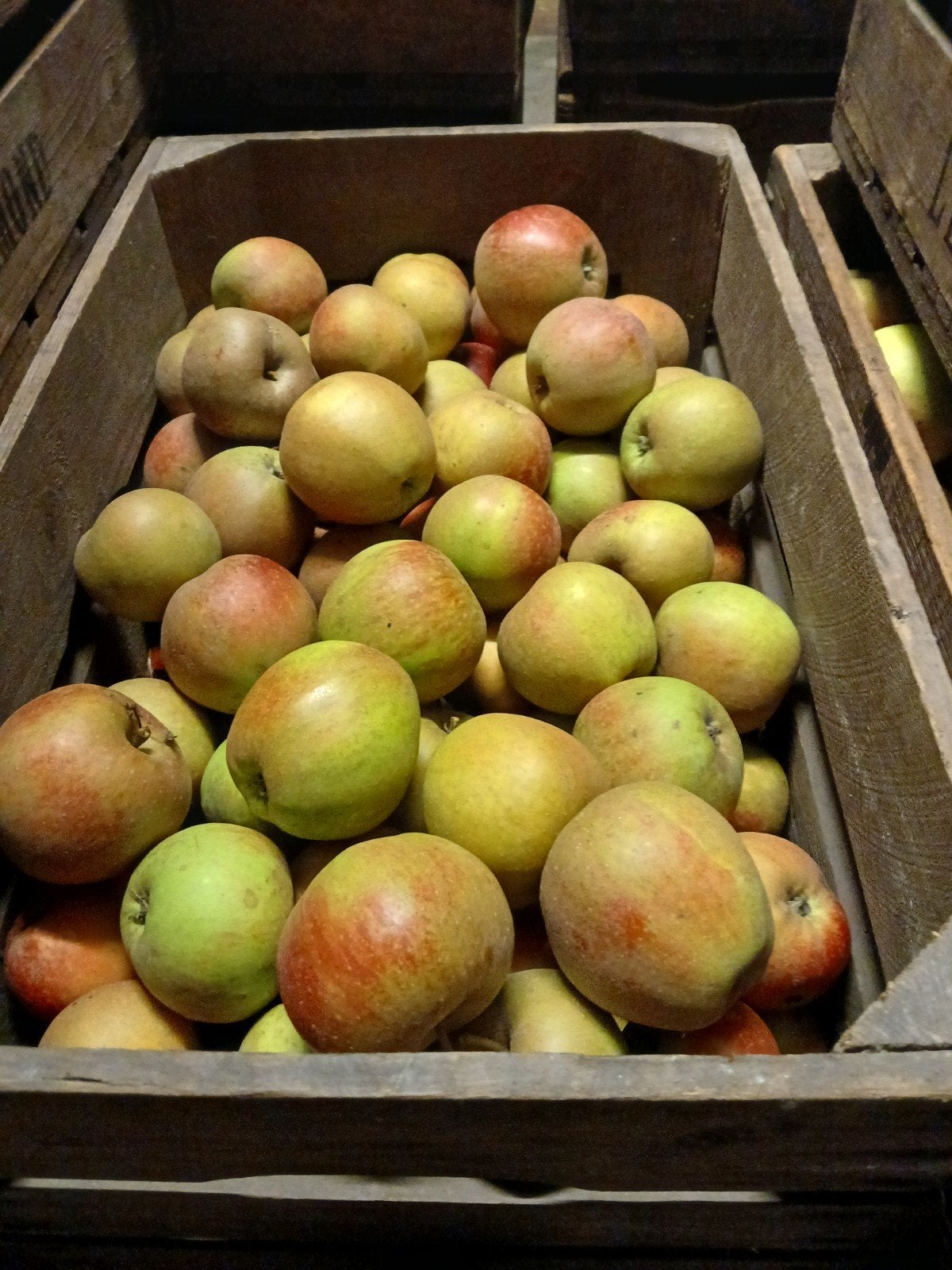 Goudreinetten, onbespoten, Ophalen