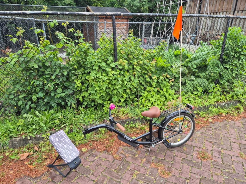 Aanhang kinderfiets met bagagedrager en vlaggetje, Fietsen en Brommers, Fietsaccessoires | Aanhangers en Karren, Ophalen of Verzenden