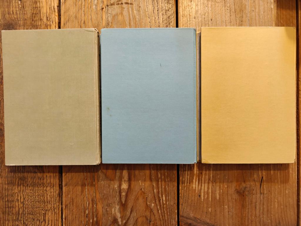 3 Boeken van L. Penning., Boeken, Ophalen of Verzenden, Zo goed als nieuw, Noord-Brabant