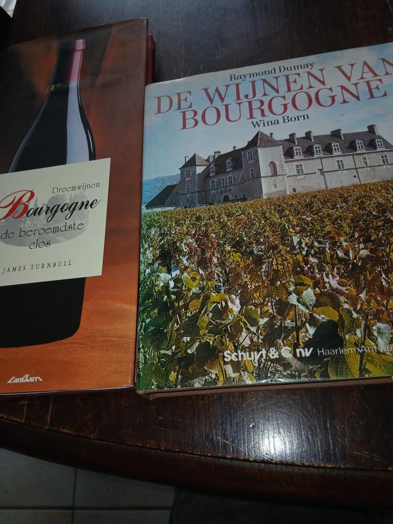 2 Wijnboeken over Bourgogne - Droomwijnen & De Wijnen, Ophalen of Verzenden, Gebruikt, Frankrijk, Overige typen