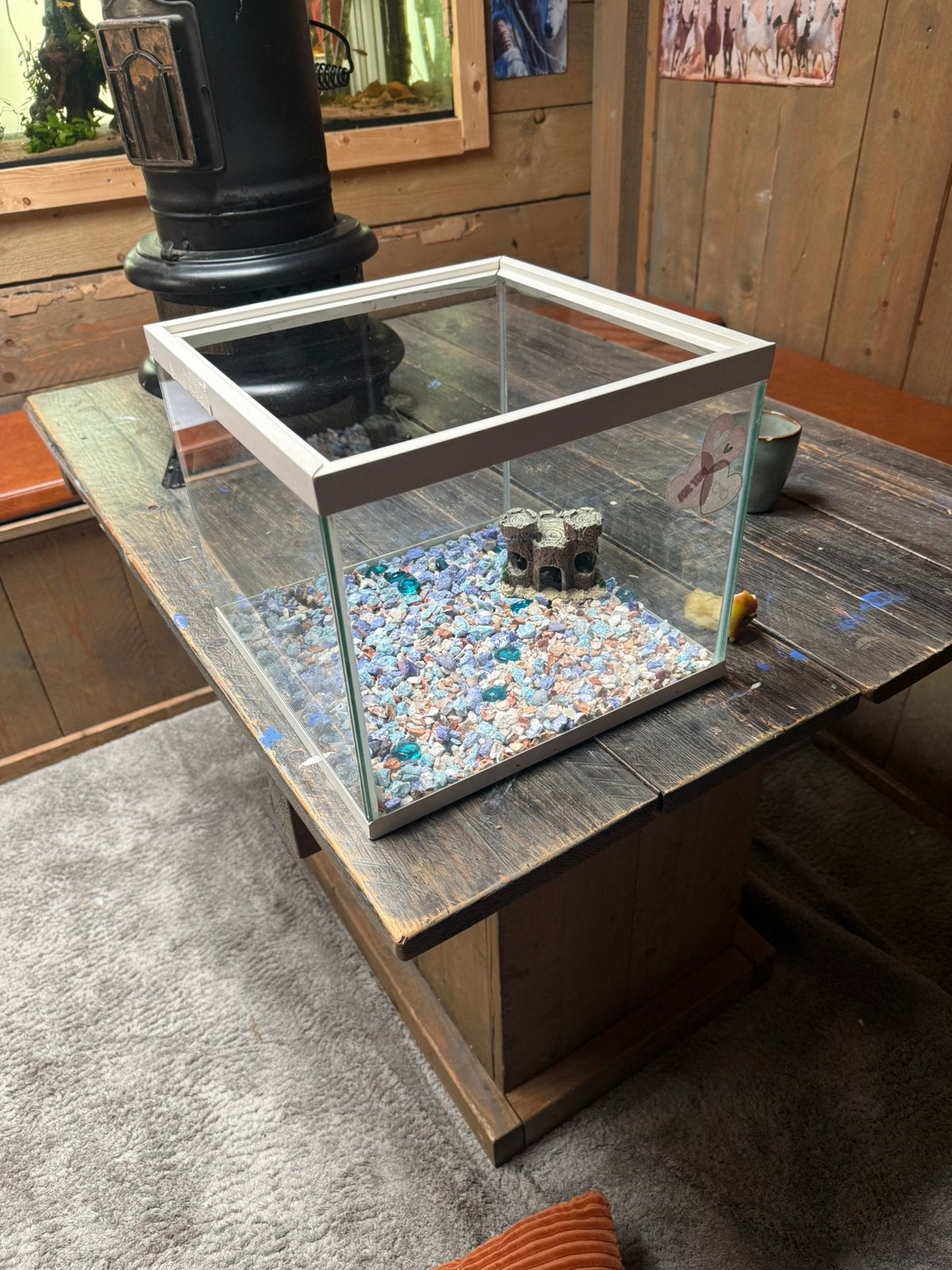 Aquarium, Ophalen, Zo goed als nieuw, Leeg aquarium